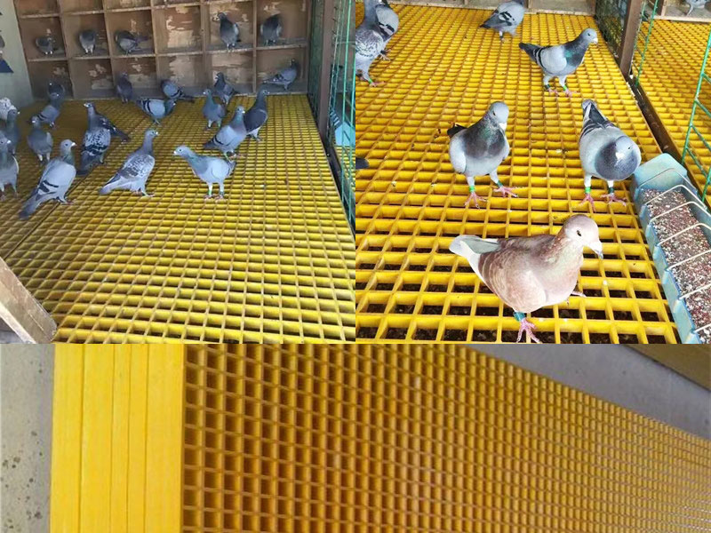 未央?yún)^(qū)鴿舍用玻璃鋼格柵